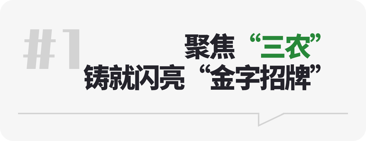 聚焦“三農(nóng)” 鑄就閃亮“金字招牌”